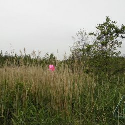 2014 Zachrany raket Jana Míckova